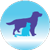 Bay State Veterinary Emergency & Specialty Services