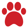 Buckaroos 360 Dog Care