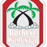 Buckeye Wash & Tan
