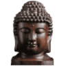 Buddha Dental Hospital