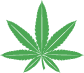 BUDSSMOKE CALLANDER
