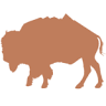 Buffalo Ridge Brewing