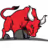 Bull Attorneys