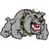 Bulldog Sewer & Drain, LLC