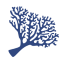 Bull Reef Aquaculture