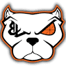Bully Line Construction LLC