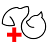 Bundaberg Emergency Animal Hospital