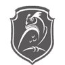 Bunic Security Systems