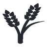 Burgar Funeral Home
