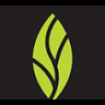MINT dentistry | Burleson
