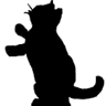 Burlish Cattery