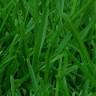 Burrell's Landscape Supplies