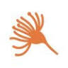 Burringbar Community Preschool