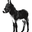 Burro Venice