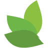 Burtch Seed Co