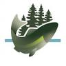 Black Hills Bookkeeping
