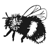 Busy Bee Organics