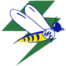 Buzyniski Electric Inc