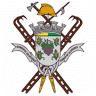Bomb. Voluntários de Fornos de Algodres