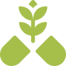 BWebSeen - Web Designers