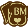 accesorios mascotas