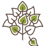Tilia – Byty Piešťany