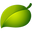 Caboki LLC