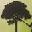 Cabot Outdoors, Inc.