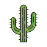 Cactusarium Ostrzyce - Wystawa Kaktusów