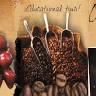 El Toledo Coffee Tour