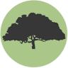 Calaveras Community Foundation