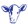 CalfCare