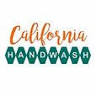 California Hand Wash - Johns Creek