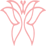 Camarim concept