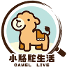 小駱駝生活 CAMEL-LIVE 團購零食餅乾 美食禮盒 防疫清潔 居家用品 推薦