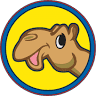 Camel Express Car Wash