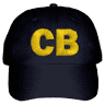 Campaign Brief