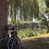 Camping et Guinguette Les Bords de Seille