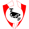CAMVITEC - Hikvision - Importador Mayorista de Camaras de Seguridad