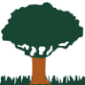C&S Lawn Service and Landscape Inc.