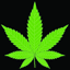 Cannabis Store Vienna