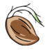 Cannoptikum KG