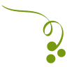 Cantine Politi & Agriturismo Montefiore