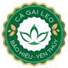 Giải độc gan Cao cà gai leo Yên Thủy