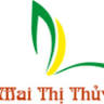 High Tea Gold - Mai Thi Thuy