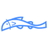 Florida Sport Fishing Outfitters