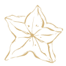 Carambola