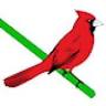 Cardinal Realty