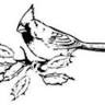 Cardinal Realty Services