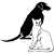 Caring Hands Animal Hospital - Clarendon